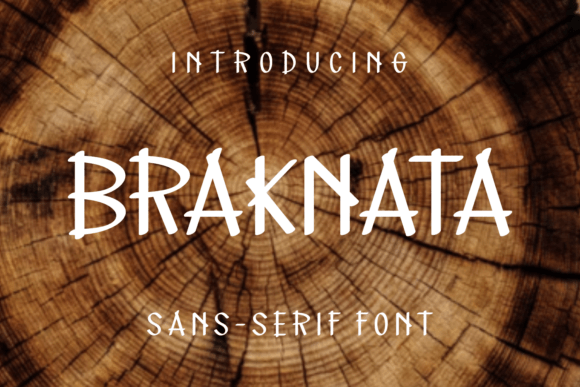 Braknata: The Modern Typeface That Elevates Your Brand