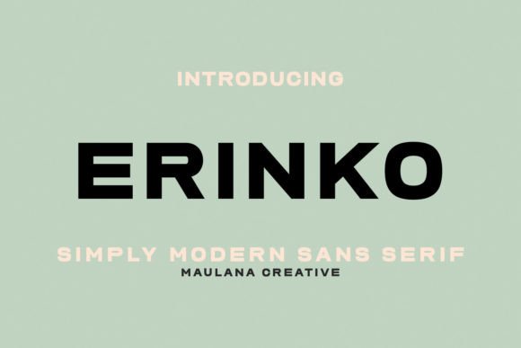 Erinko: A Modern Sans Serif Font for Clean Web Design