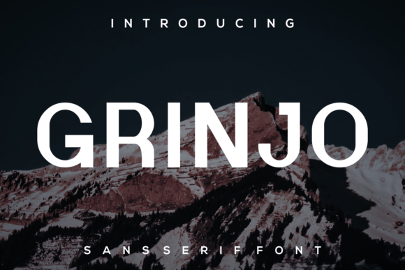 Grinjo: A Unique Sans Serif Font for Editorial Design