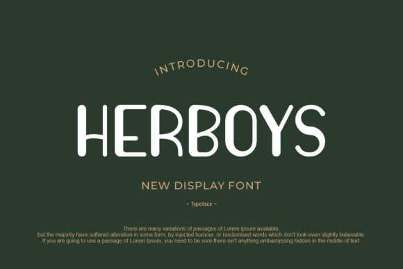 Herboys: A Modern Sans Serif Font for Web Design