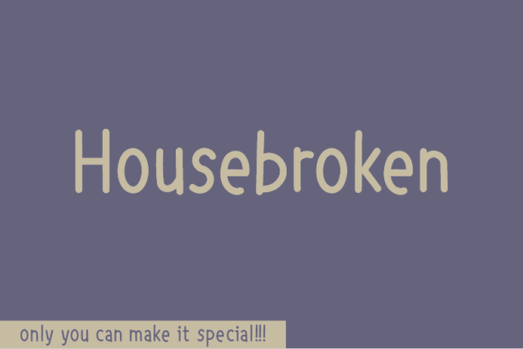 Housebroken Font Review: A Unique Sans Serif for Campaigns