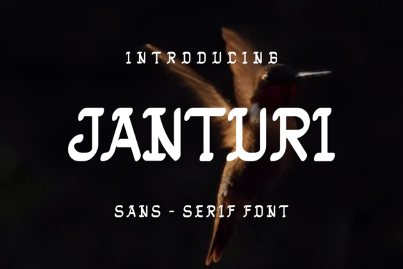 Janturi Font Review: A Unique Sans Serif for Web Design