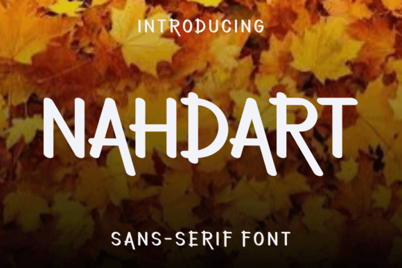 Nahdart Font Review: A Unique Sans Serif for Modern Web Design