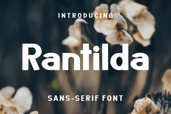 Rantilda: A Modern Sans Serif Font for Editorial Design