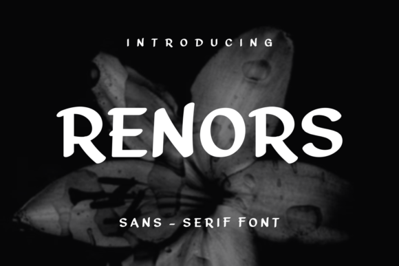 Renors: A Modern Sans Serif Typeface for Editorial Design