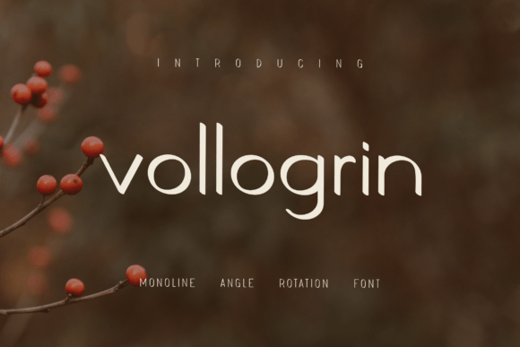 Vollogrin: A Dynamic Sans Serif Font for Web Design